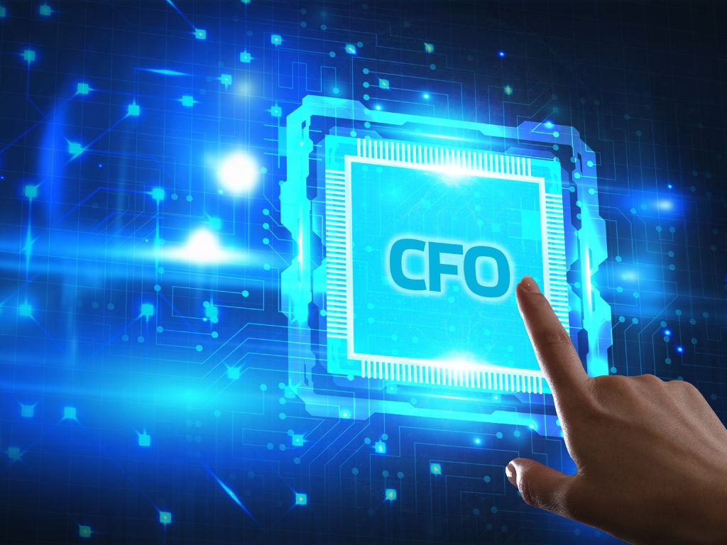 CFO services for small and mid-sized businesses.