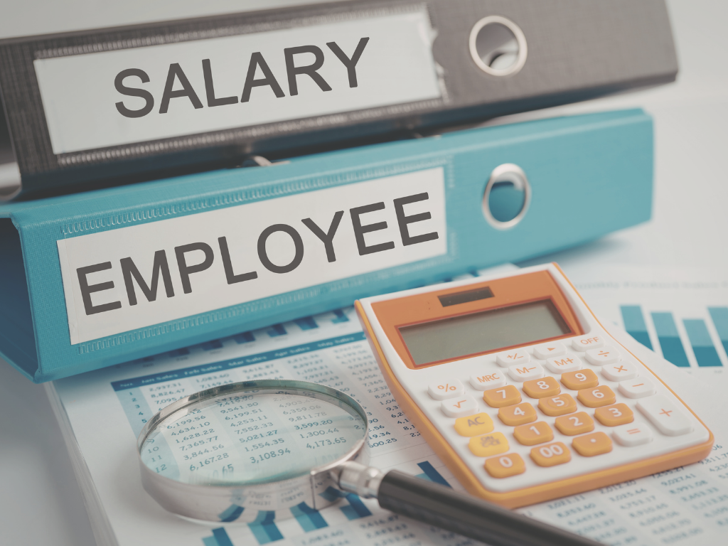 Stacked office binders labeled "SALARY" and "EMPLOYEE" resting on a desk surface.